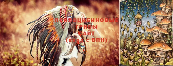 дурь Алексин