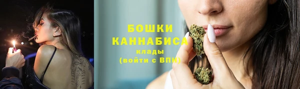 PSILOCYBIN Алексеевка