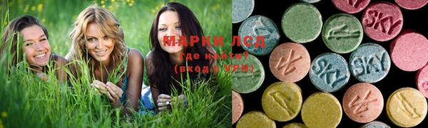 дурь Алзамай
