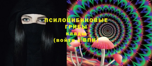 PSILOCYBIN Алексеевка