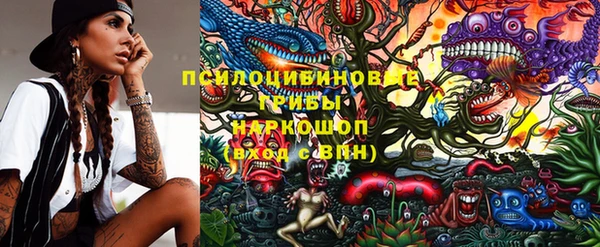 дурь Алзамай