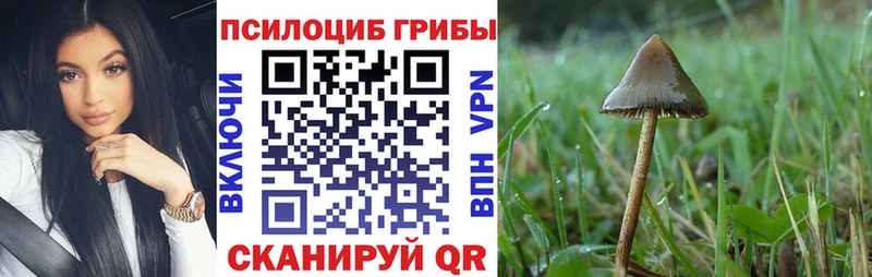 Галлюциногенные грибы MAGIC MUSHROOMS  Лермонтов 